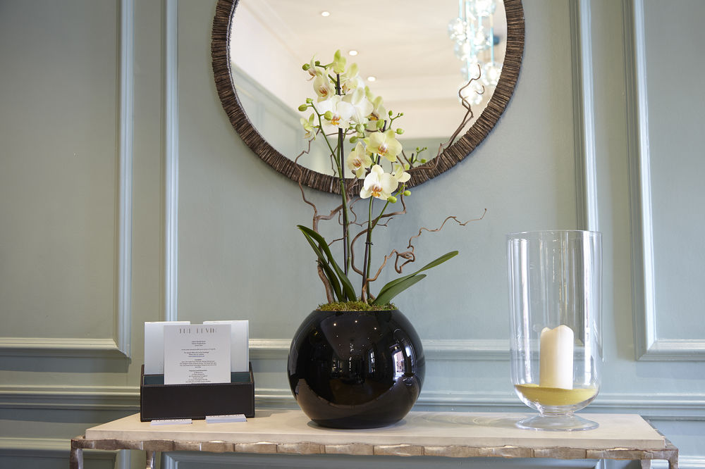 Fotos del hotel - THE LEVIN