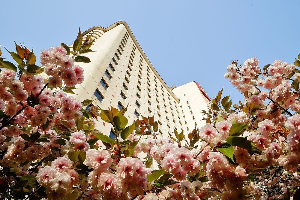 Fotos del hotel - ROSEDALE HOTEL AND SUITE BEIJING