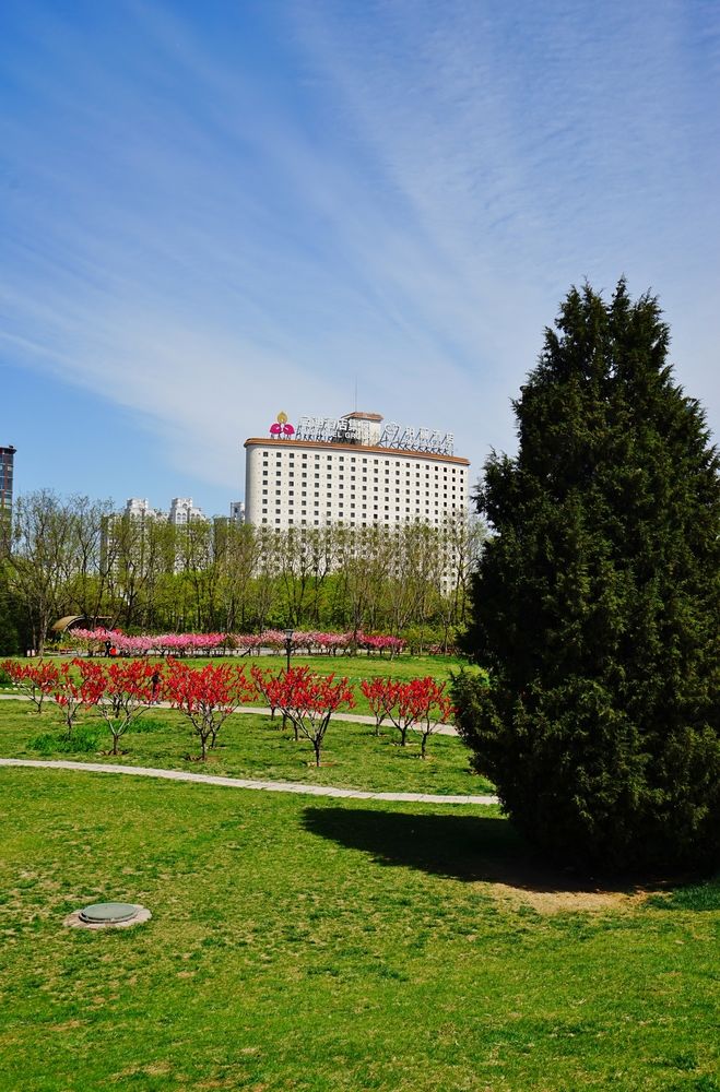 Fotos del hotel - ROSEDALE HOTEL AND SUITE BEIJING