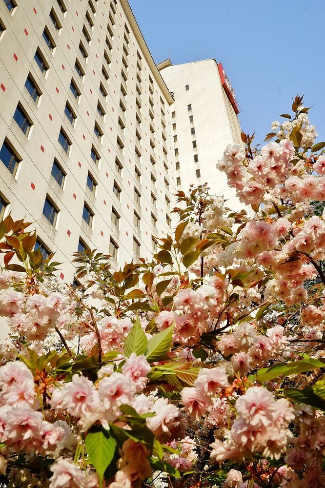 Fotos del hotel - ROSEDALE HOTEL AND SUITE BEIJING
