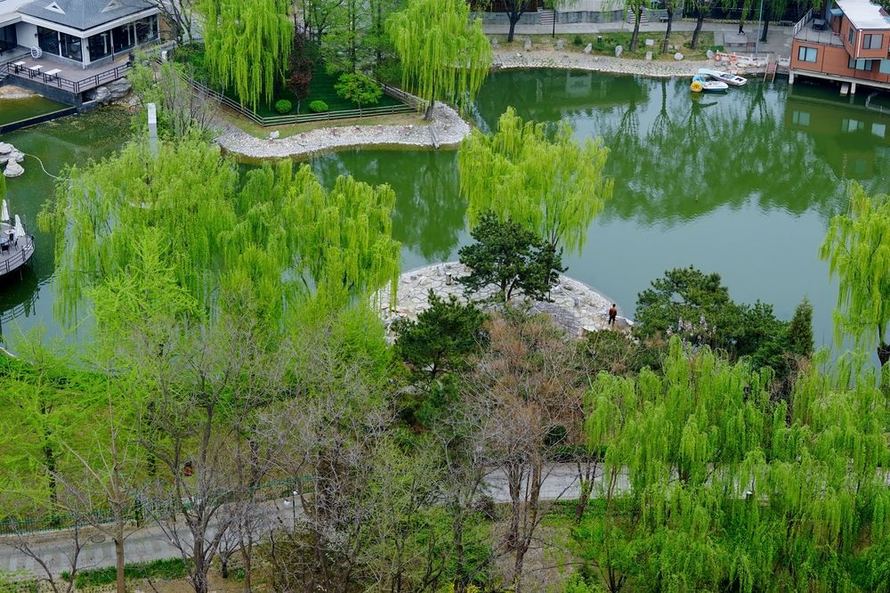 Fotos del hotel - ROSEDALE HOTEL AND SUITE BEIJING