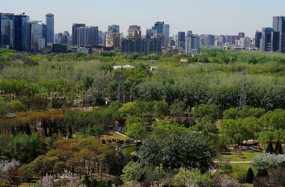 Fotos del hotel - ROSEDALE HOTEL AND SUITE BEIJING