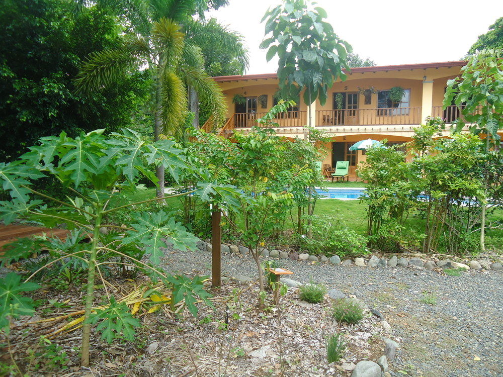 Fotos del hotel - GREEN