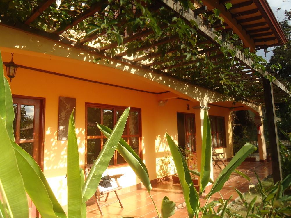 Fotos del hotel - GREEN