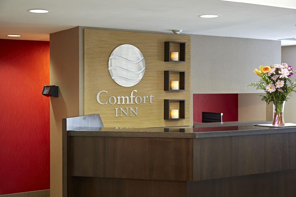 Fotos del hotel - COMFORT INN SOUTH SHORE