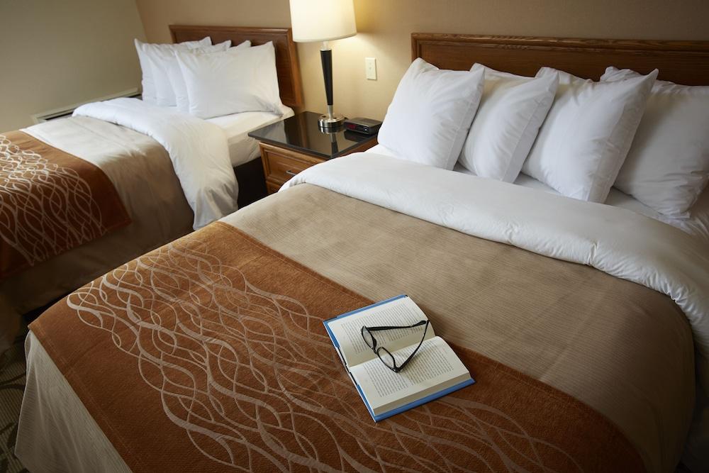 Fotos del hotel - COMFORT INN AIRPORT EAST