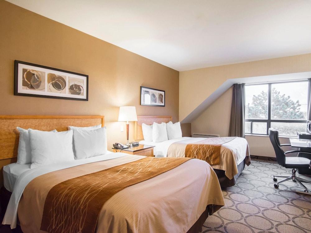 Fotos del hotel - COMFORT INN AIRPORT EAST