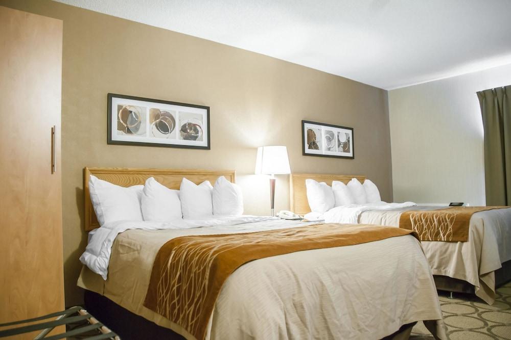 Fotos del hotel - COMFORT INN BROSSARD