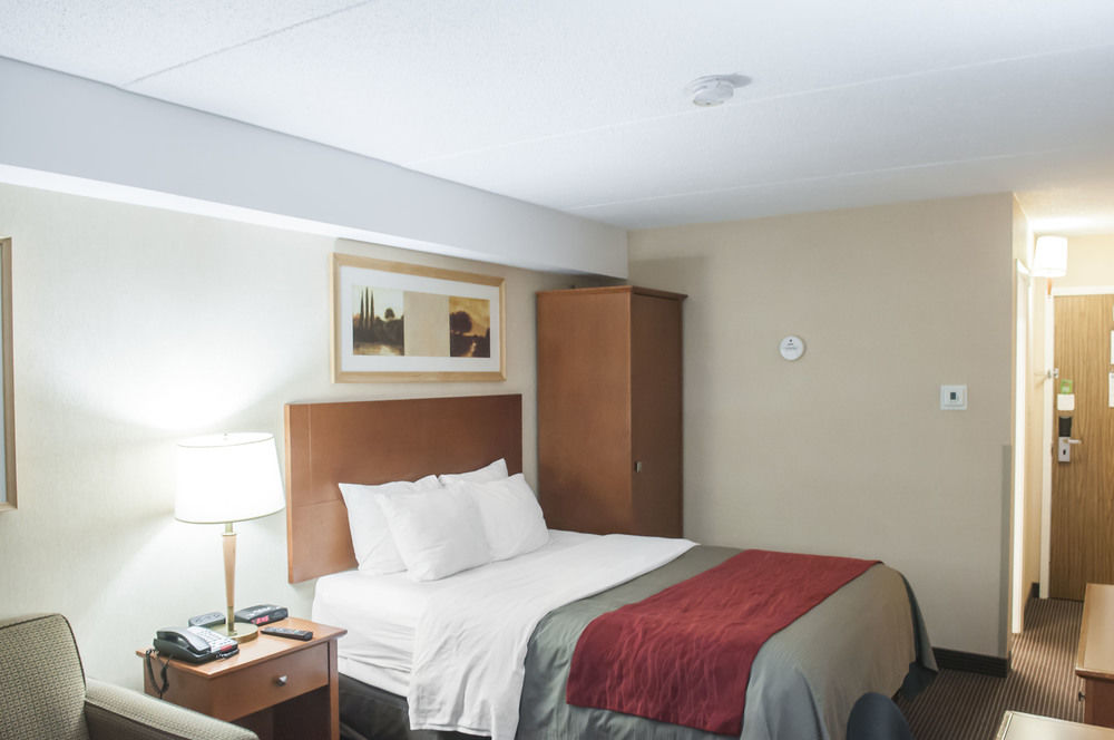 Fotos del hotel - COMFORT INN AIRPORT WEST