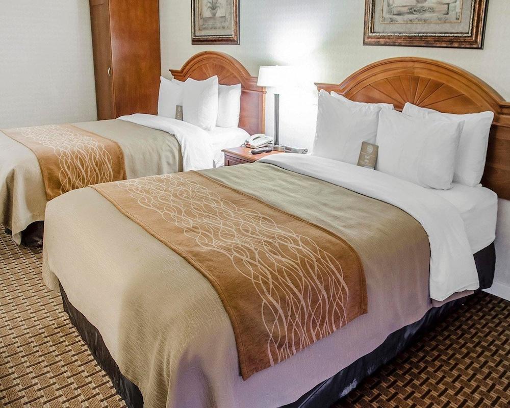Fotos del hotel - COMFORT INN TORONTO NORTHEAST