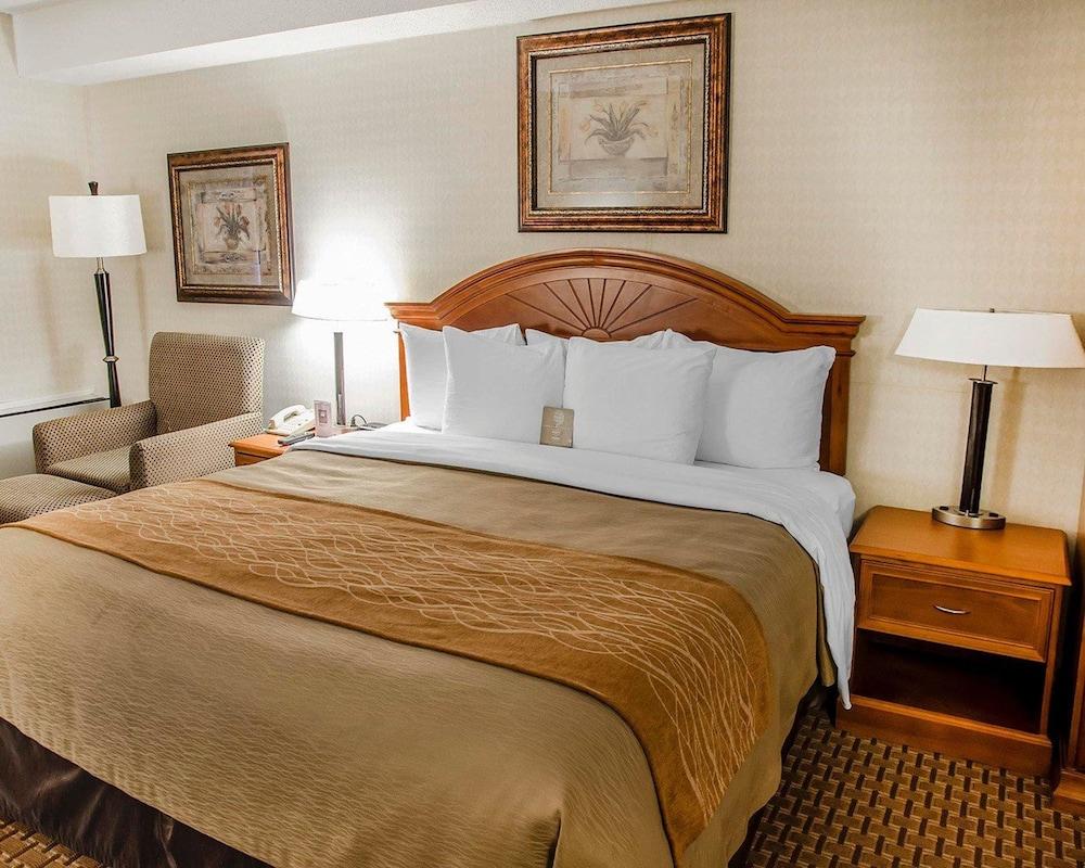 Fotos del hotel - COMFORT INN TORONTO NORTHEAST