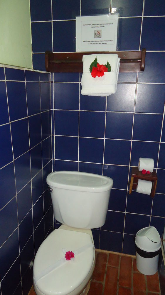Fotos del hotel - HOTEL MANDARINA