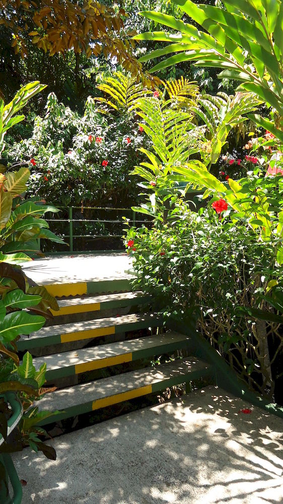 Fotos del hotel - HOTEL MANDARINA