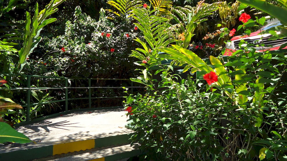 Fotos del hotel - HOTEL MANDARINA