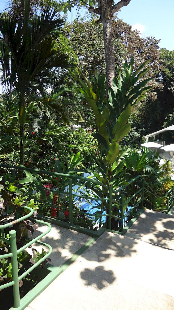 Fotos del hotel - HOTEL MANDARINA