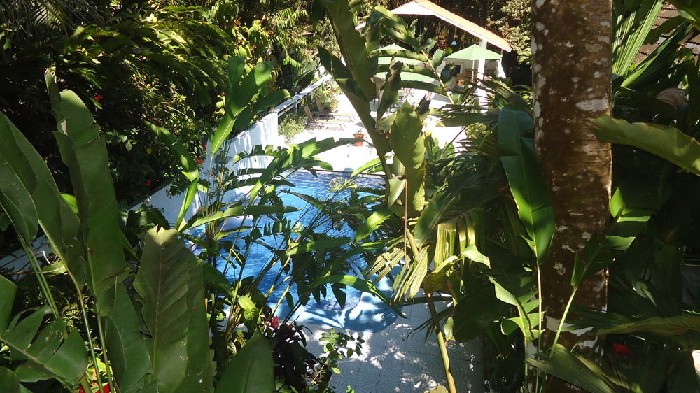 Fotos del hotel - HOTEL MANDARINA