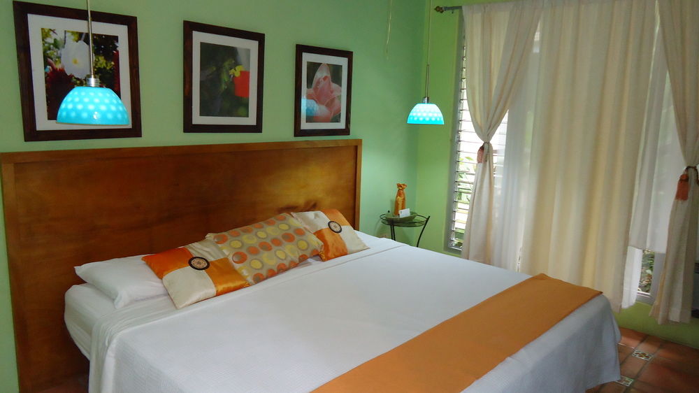 Fotos del hotel - HOTEL MANDARINA