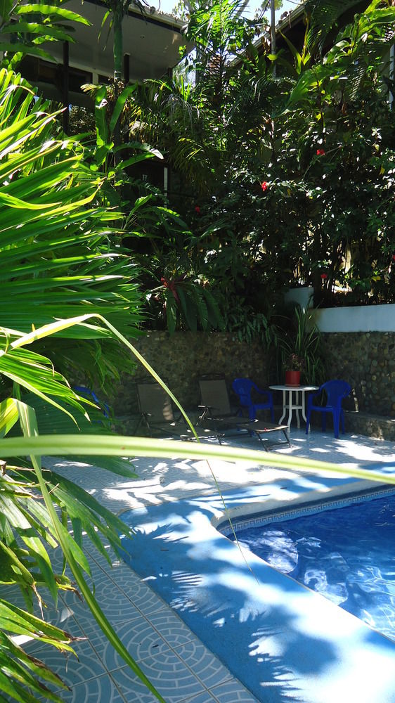 Fotos del hotel - HOTEL MANDARINA