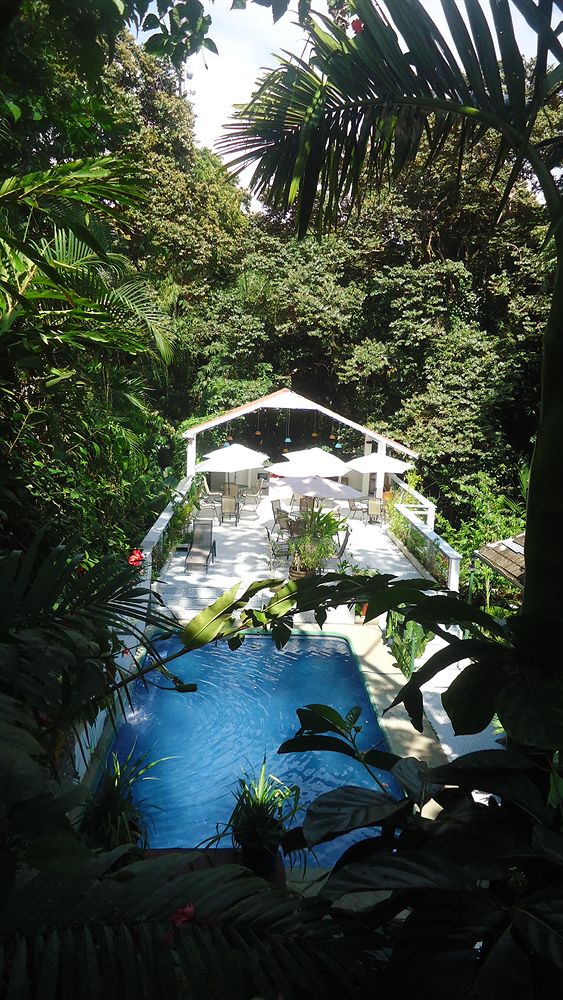 Fotos del hotel - HOTEL MANDARINA