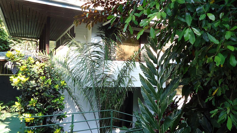 Fotos del hotel - HOTEL MANDARINA