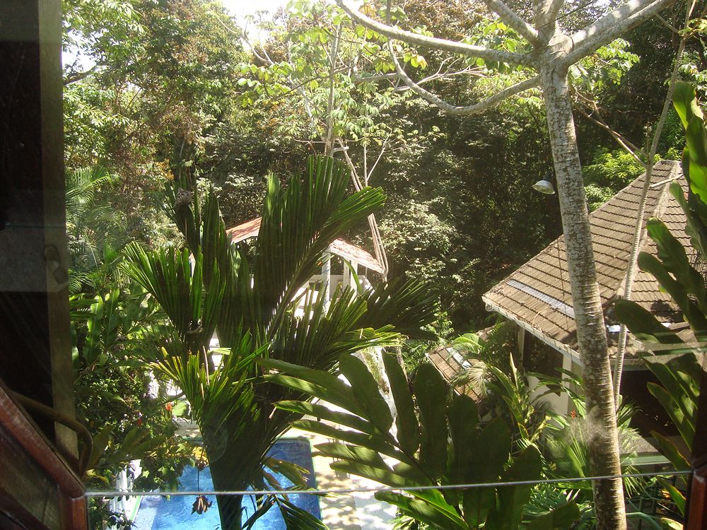 Fotos del hotel - HOTEL MANDARINA