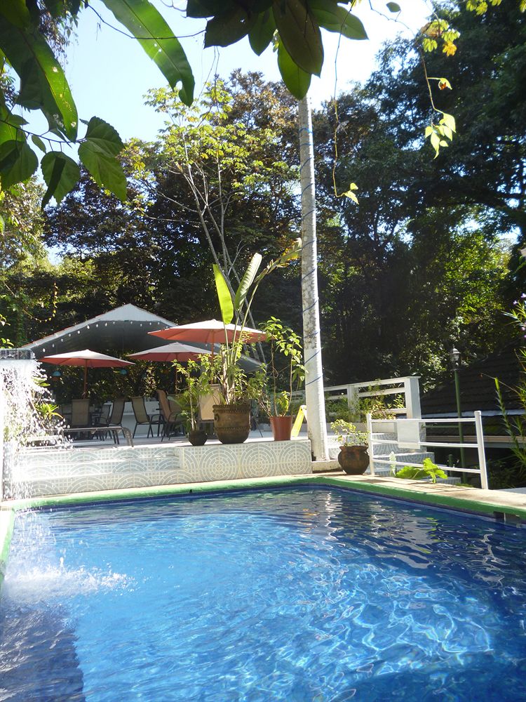 Fotos del hotel - HOTEL MANDARINA