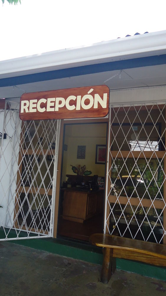 Fotos del hotel - HOTEL MANDARINA
