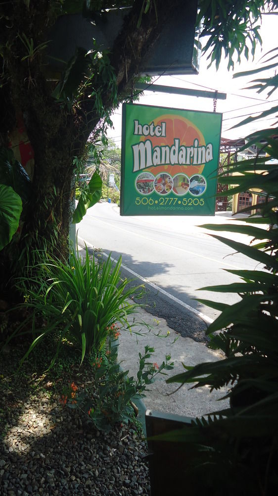 Fotos del hotel - HOTEL MANDARINA