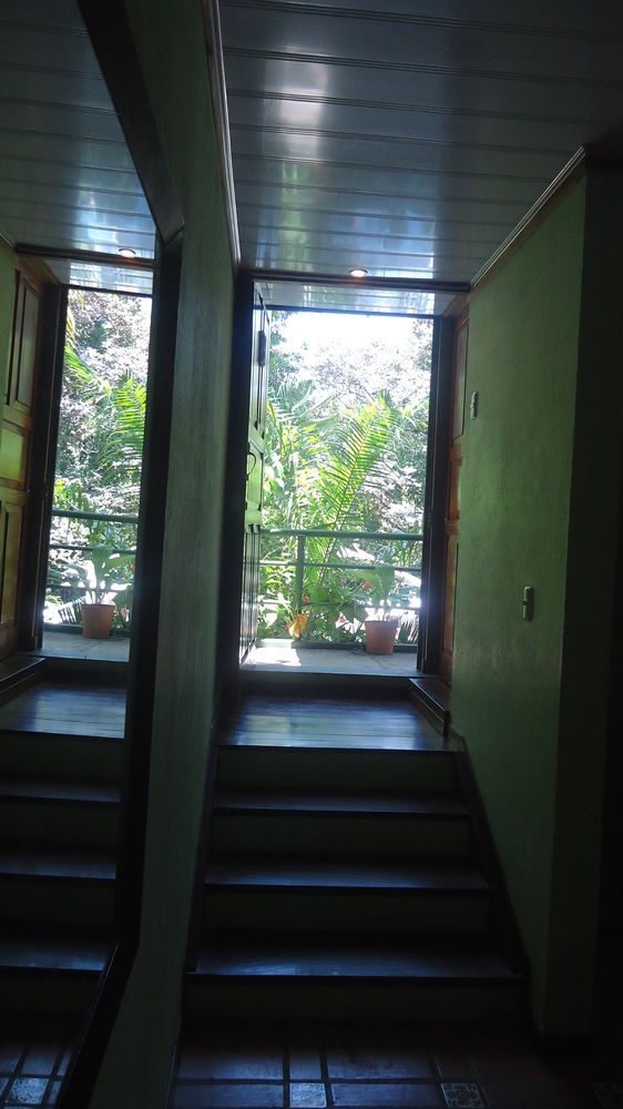 Fotos del hotel - HOTEL MANDARINA