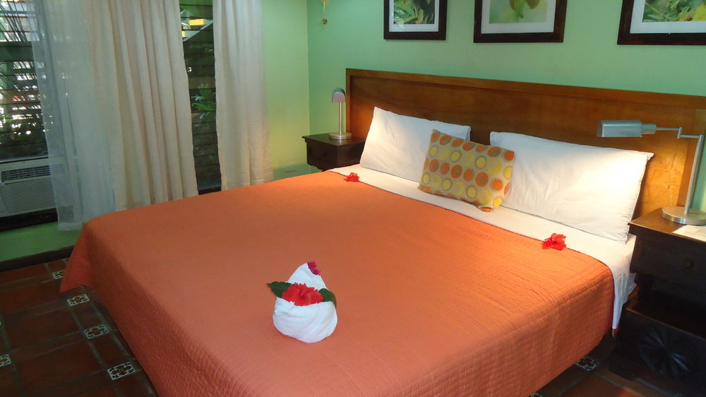 Fotos del hotel - HOTEL MANDARINA