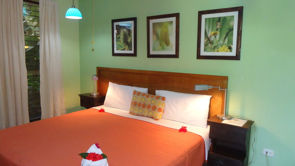 Fotos del hotel - HOTEL MANDARINA