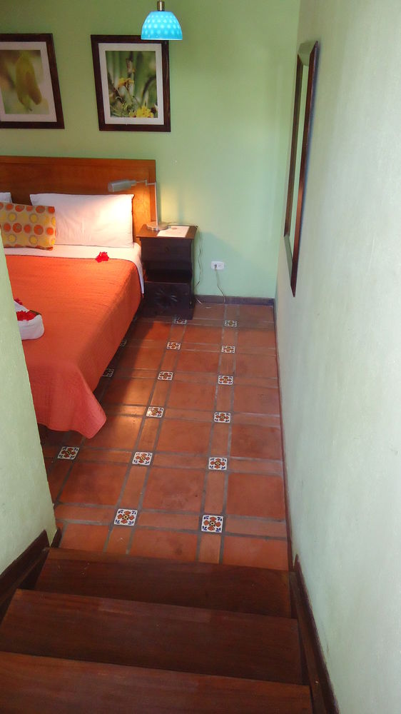Fotos del hotel - HOTEL MANDARINA