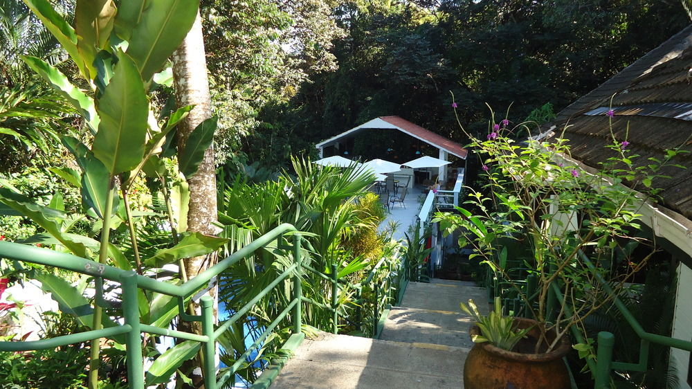Fotos del hotel - HOTEL MANDARINA