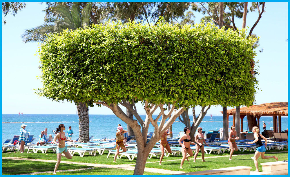 Fotos del hotel - Poseidonia Beach Hotel