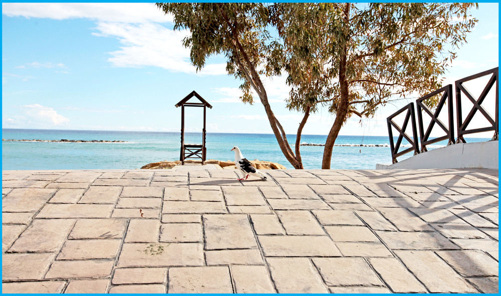 Fotos del hotel - Poseidonia Beach Hotel