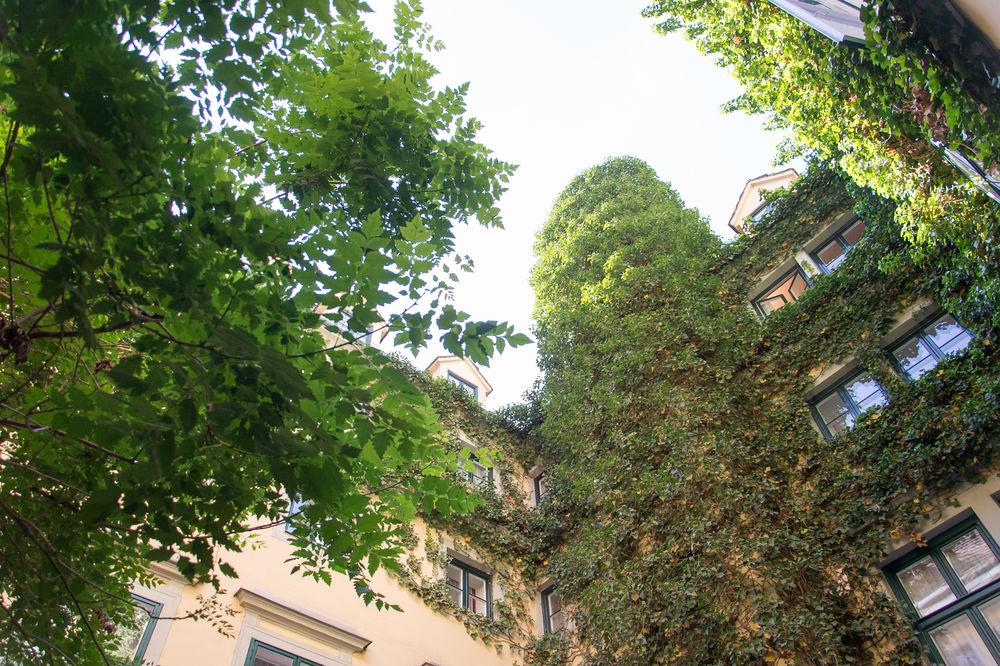 Fotos del hotel - Mailberger Hof