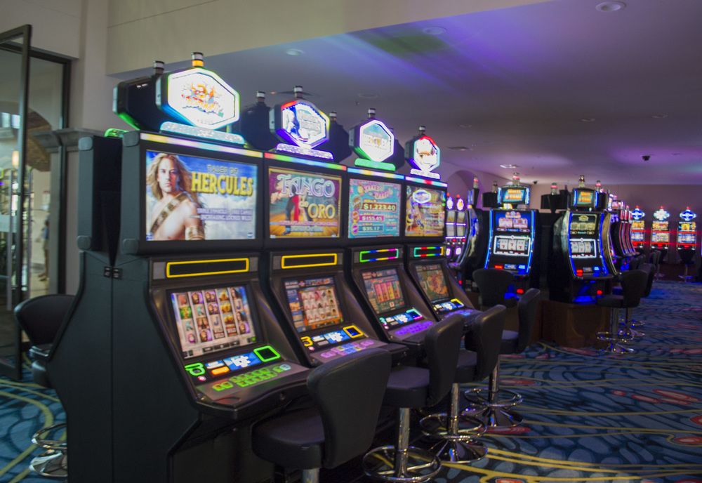 Fotos del hotel - Crocs Resort & Casino