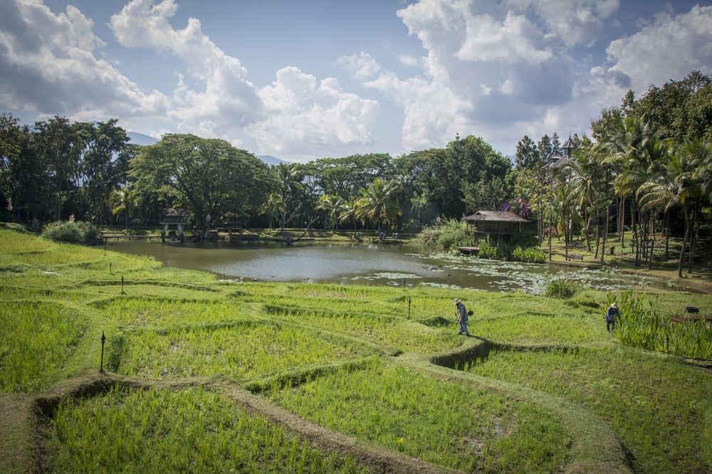 Fotos del hotel - Four Seasons Resort Chiang Mai