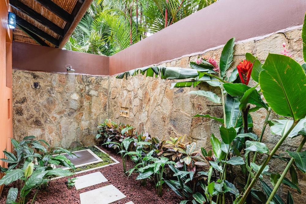 Fotos del hotel - RIO CELESTE HIDEAWAY