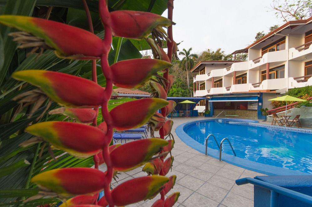 Fotos del hotel - HOTEL CALIFORNIA - MANUEL ANTONIO
