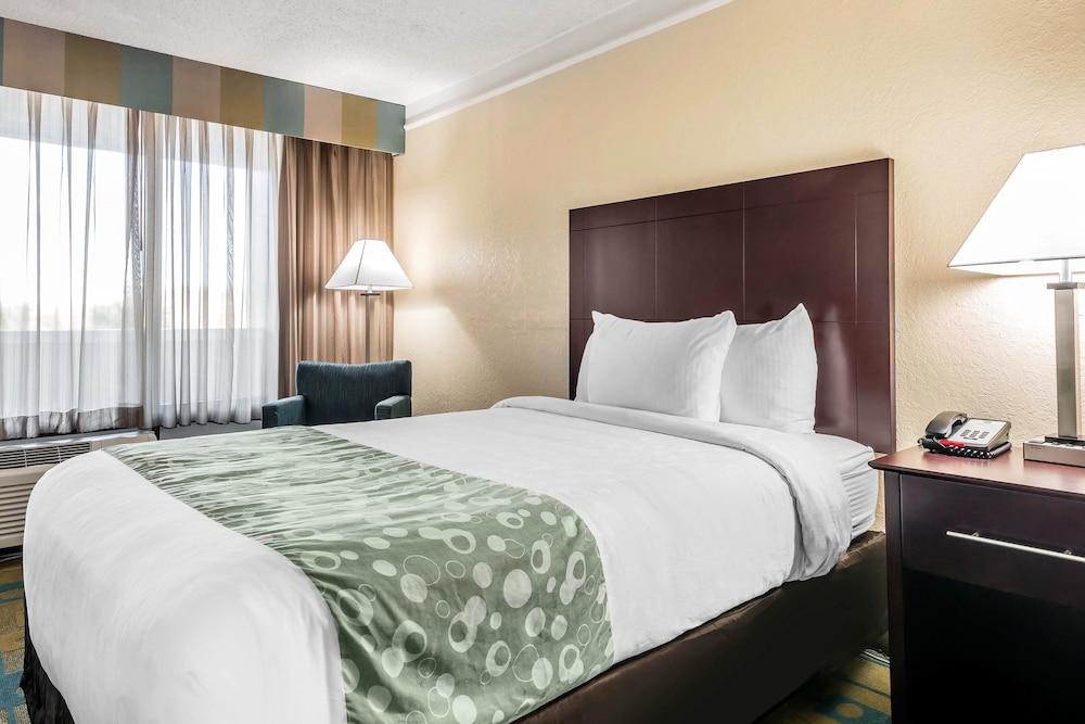 Hotel Quality Inn At International Drive