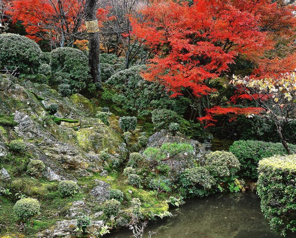 Fotos del hotel - THE WESTIN MIYAKO KYOTO