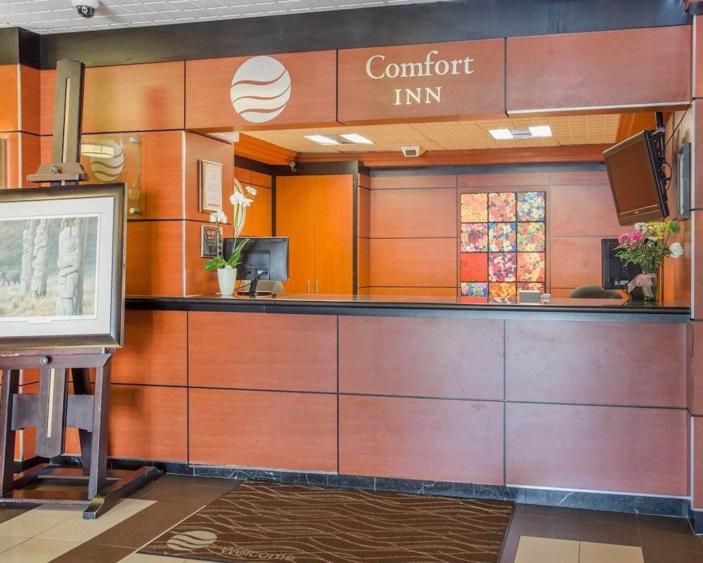 Fotos del hotel - COMFORT INN TORONTO AIRPORT