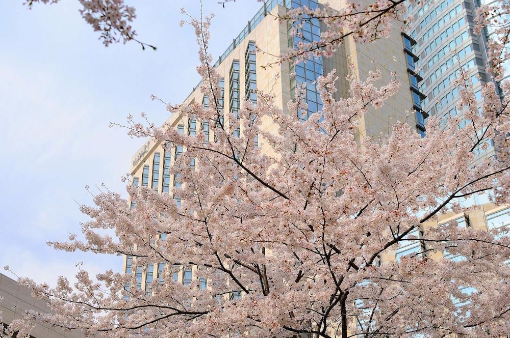 Fotos del hotel - GRAND HYATT TOKYO