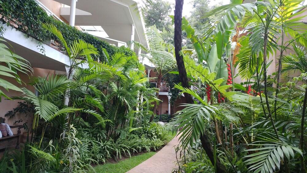 Fotos del hotel - Hotel Ciudad Vieja
