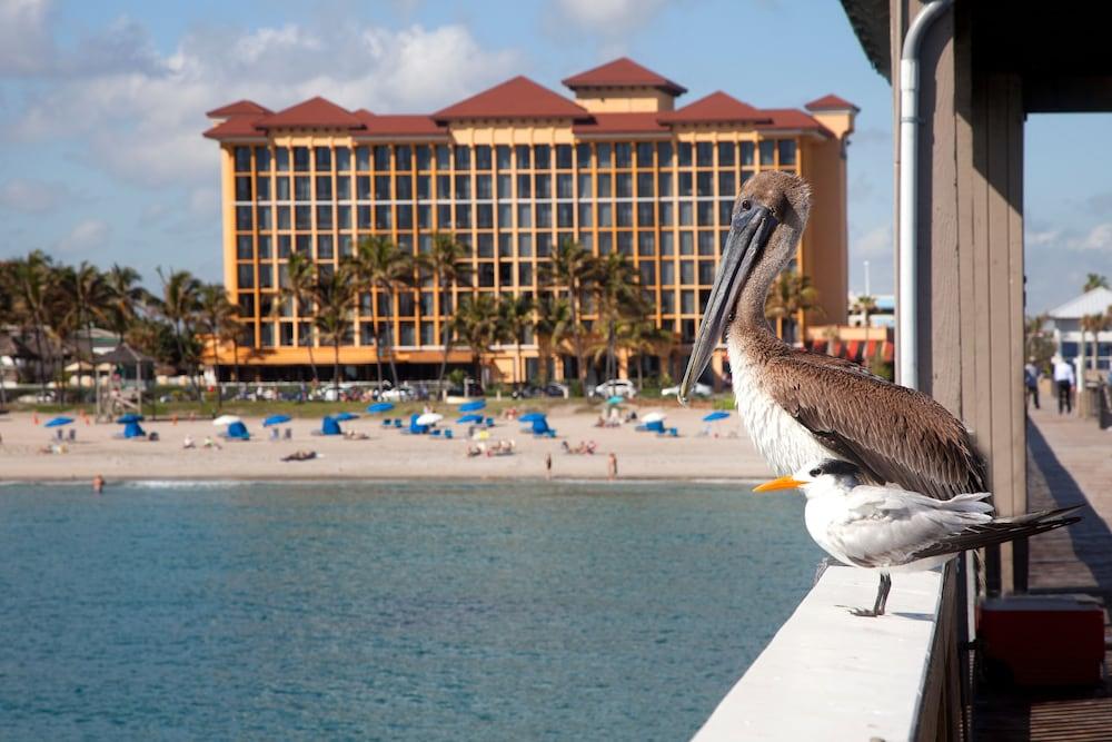 Fotos del hotel - Wyndham Deerfield Beach Resort