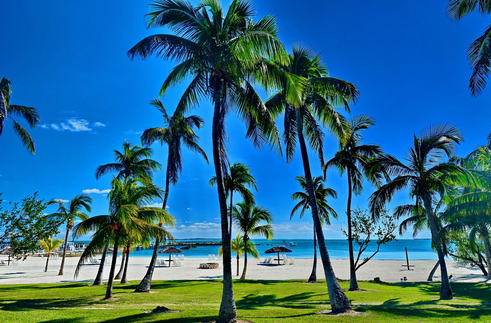 Abaco Beach Resort and Boat Harbour Marina