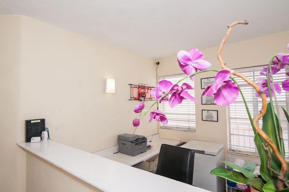 Fotos del hotel - ISLAND HOUSE SOUTH BEACH