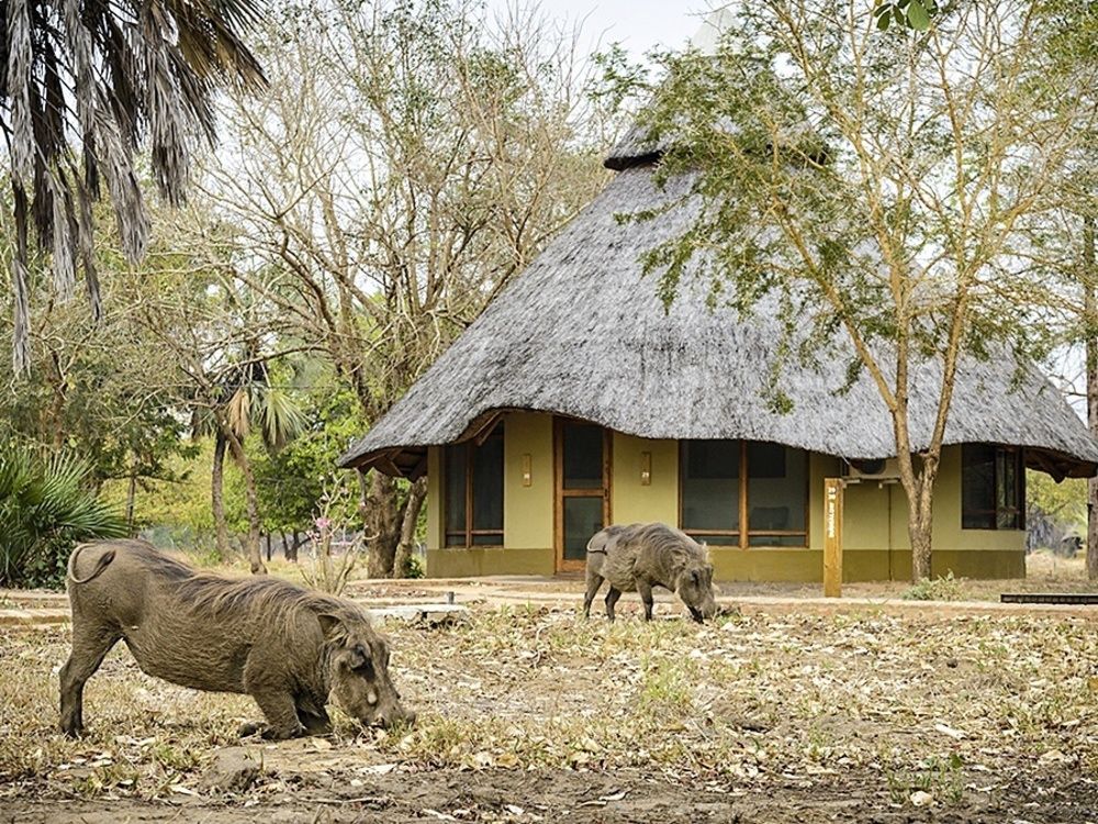 Fotos del hotel - Montebelo Gorongosa Lodge & Safari