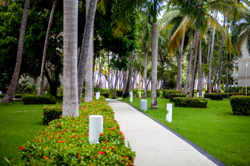 Fotos del hotel - HOTEL VISTA SOL PUNTA CANA